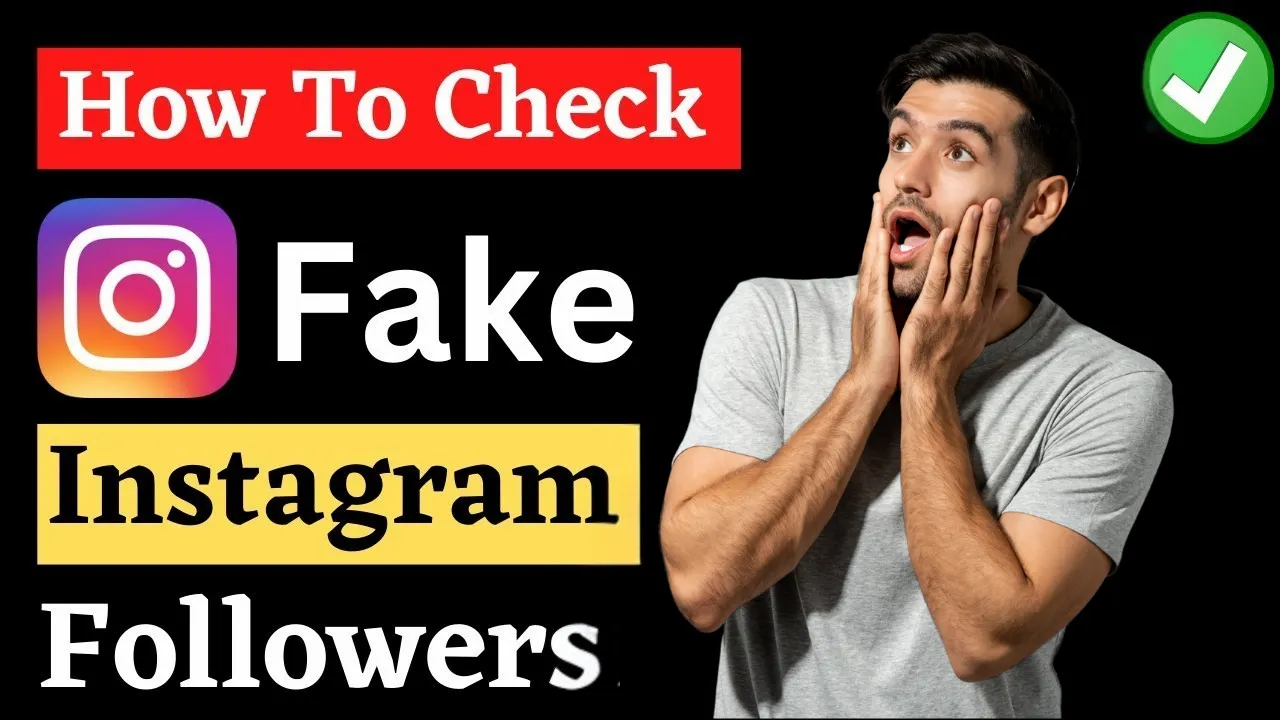 Instagram Followers Checker