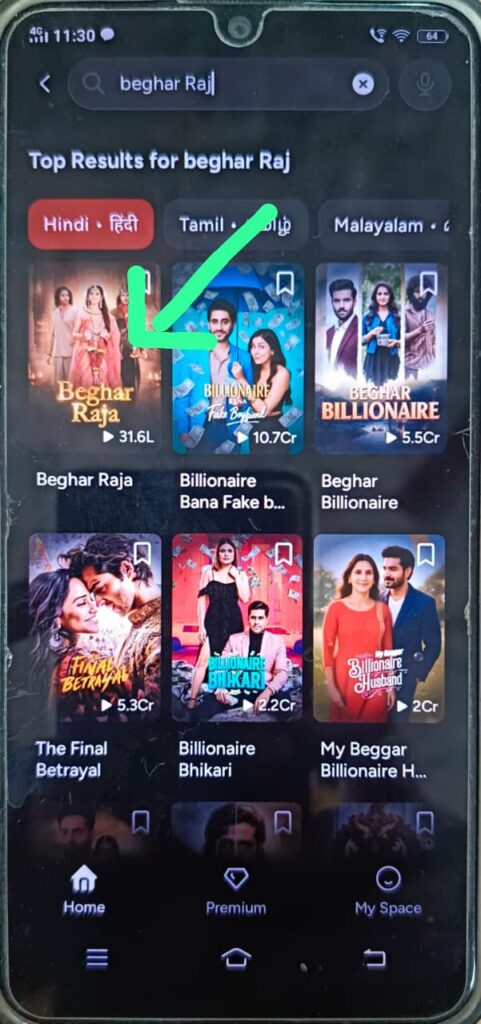 Beghar Raja 